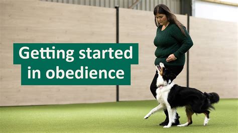 dog obedience training online
